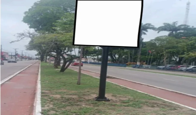 299no