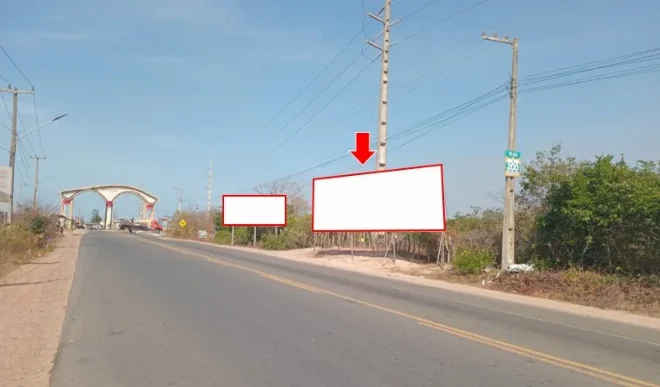 419-cn