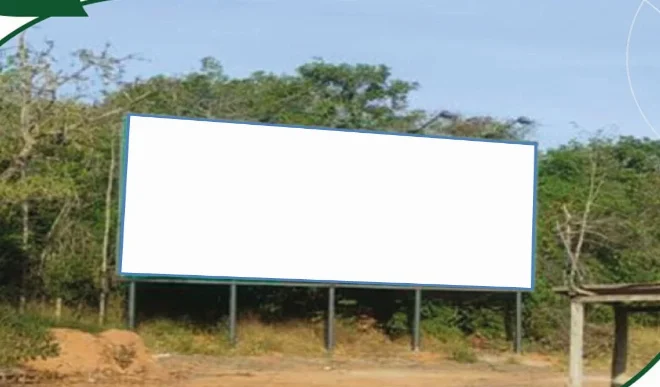 lg31-730