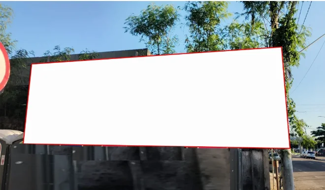 51bm