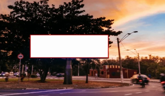 100123zz