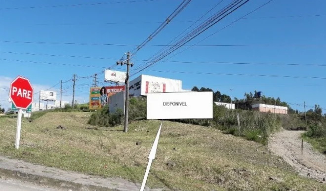 03-mt