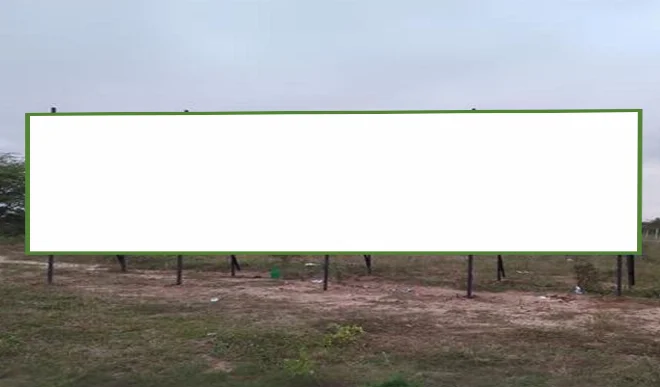 219md