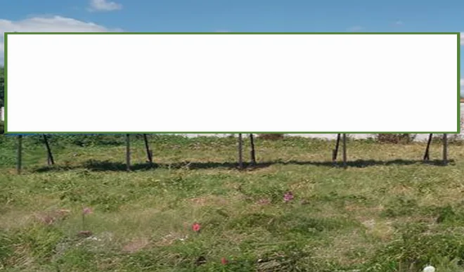 222md