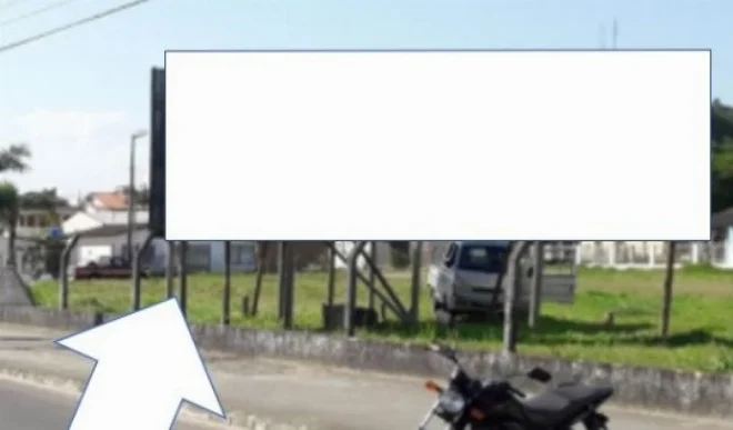 51y