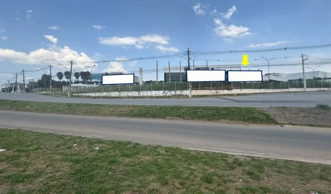 49tg