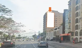 Ref.: 606MI-VIT