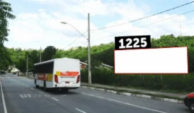 Ref.: 1225PY