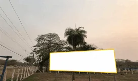 Ref.: EX22