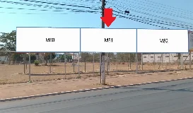 Ref.: CO01-M81