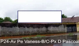 Ref.: P24dp